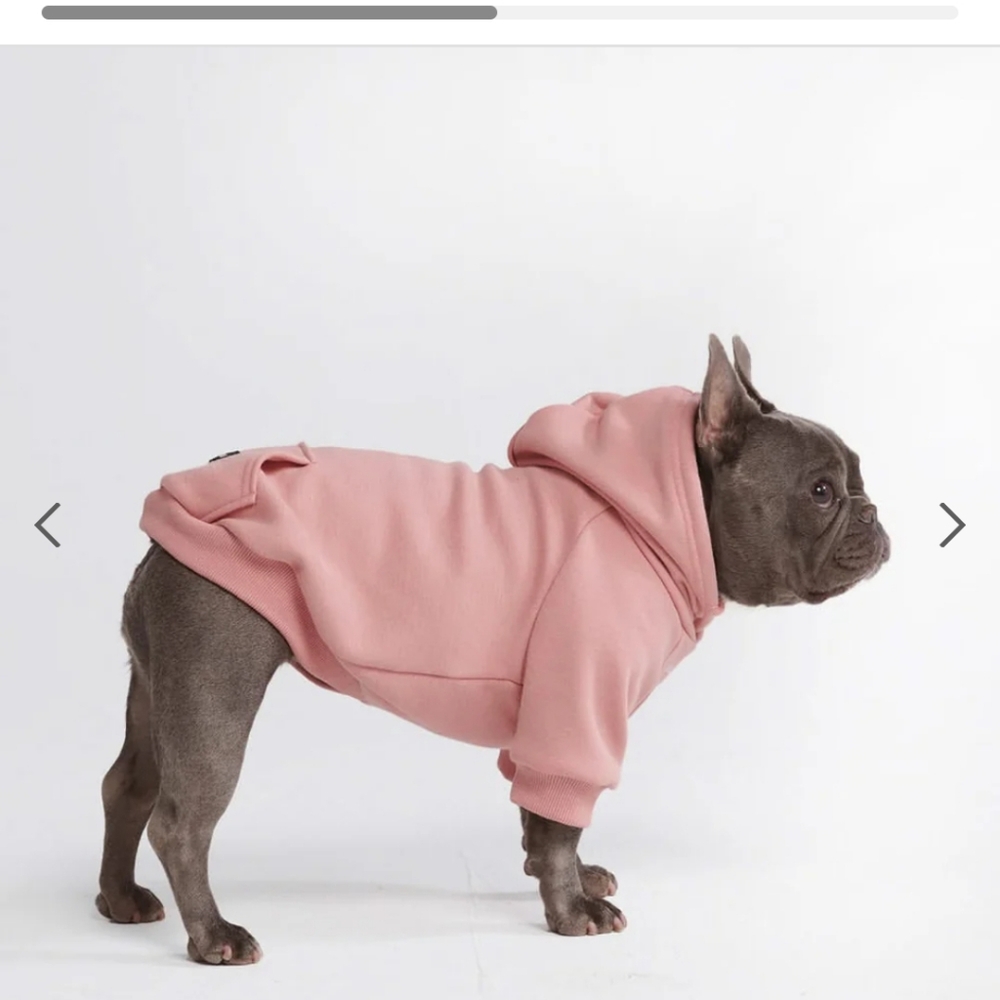Dog hoodie